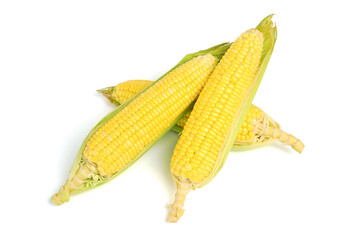 Fresh corn on white isolate background with clipping path.