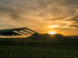 Wall Mural - Landwirtschaftliches Gebäude bei Sonnenuntergang