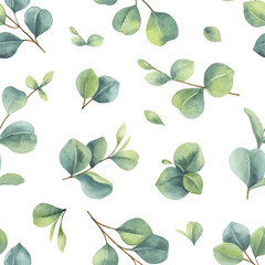Wall Mural - Watercolor vector hand painted seamless pattern with green eucalyptus leaves.
