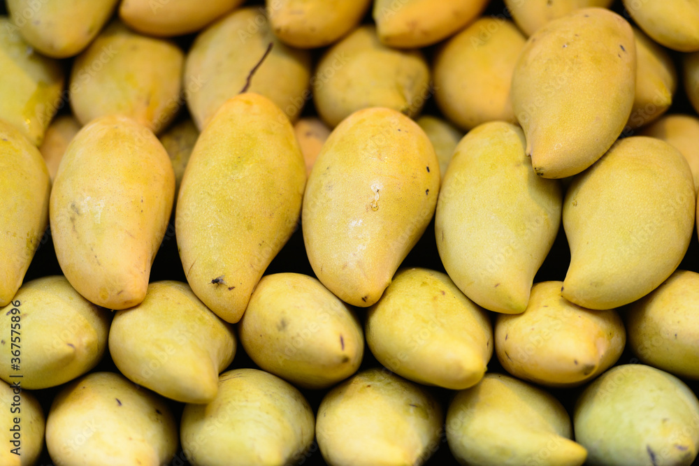 Portrait of fresh ripe yellow mangoes for sale