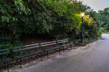 Poster - bench in the park