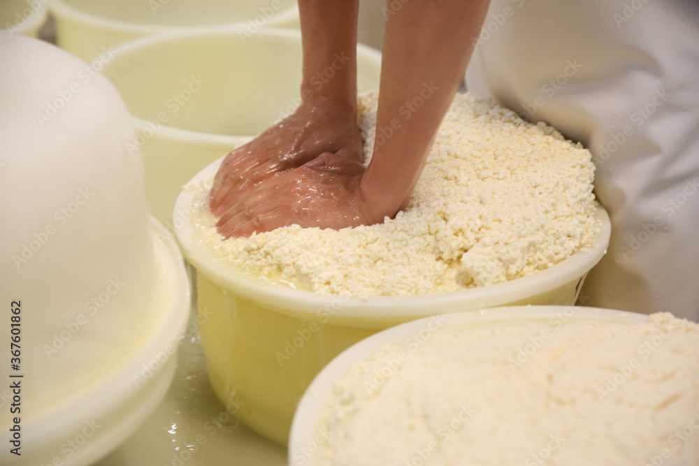Worker pressing curd into mould at cheese factory, closeup - obrazy, fototapety, plakaty 