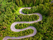 © Rafaila Gheorghita - Long and winding rural road leading through dense green pine forest.