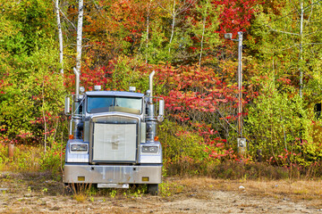 Canvas Print - Truck in the middle of a forest in foliage season