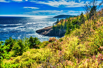 Canvas Print - Acadia National Park, Maine. Coastline along the sea in foliage season