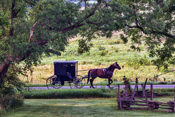 Wall Mural - Horse and Buggy on rural Indiana road with split rail fence in summer