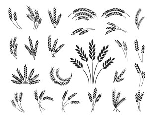 Set of wheat ear icons isolated on a white background, vector illustration.