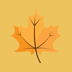 autumn maple leaf