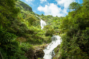 Scenic landscape of cascade Thac Bac Waterfall (Silver Falls) in mountains with lush green trees and blue sky, Northern Vietnam, Sapa town