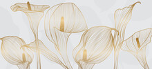 Golden Calla Lily Pattern Vector, Wedding Wallpaper Background For Warapping Paper Design, Brochure, Backdrop, Packaging And Print Vector Illustration.