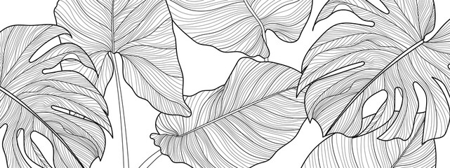 Black and white Decorative tropical leaf  background pattern, Split-leaf Philodendron plant with monstera plant line arts for printing, postcard, packaging and cover. Vector illustration.
