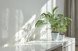 Eco interior corner with glossy surface of stand and green houseplants.