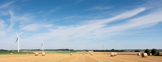 Wall Mural - fields and wind turbines in the north of france under blue sky