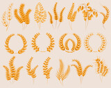 Fototapeta  - Wheat ears icons set