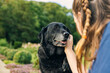 © JPRFphotos - Shot of a Girl with her senior black labrador