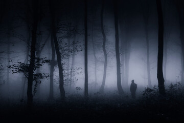Wall Mural - man in dark night forest, mysterious landscape