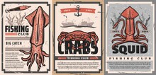 Fishing Seafood, Fisher Sea Sport Club, Vector Retro Vintage Posters. Seafood Squid And Crab Big Catch Tournament Fishing Rod Bait And Lures, Ship Anchor And Ocean Waves