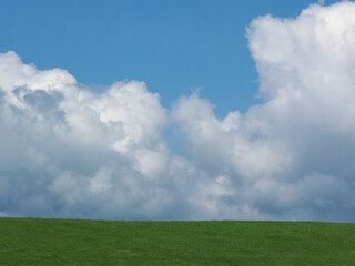 green grass and blue sky