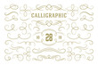 © provectors - Calligraphic design elements vintage ornaments swirls and scrolls ornate decorations vector design elements