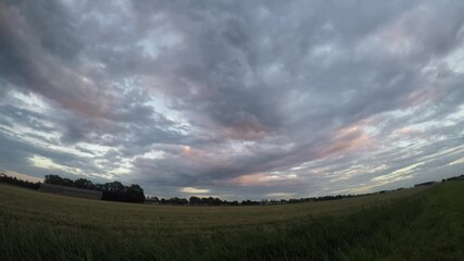 Wall Mural - Time lapse video of midlevel clouds (altocumulus undulatus asperitas) over a farmland during sunset.