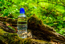 Plastic Bottle With The Clear Water On Tree Trunk In Forest