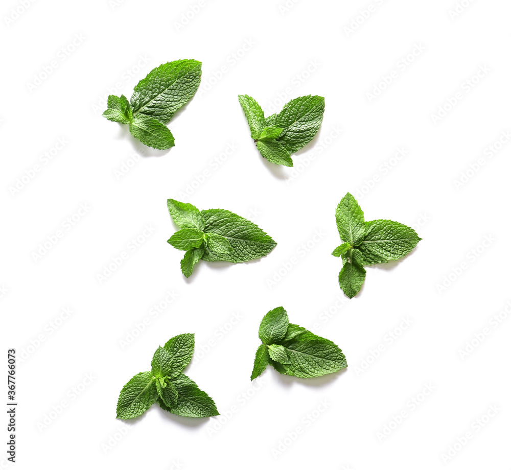 Fresh green mint on white background