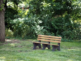 Sticker - Empty wooden bench in the park in summer