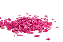 Pile Of Pink Rose Petals On White Background, Copy Space