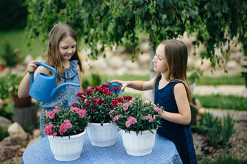 Two little girls in the summer at the dacha take care of flowers and other plants. Nature outside the city and fresh air. Healthy lifestyle concept. Carefree childhood.