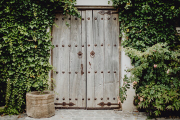 Wall Mural - Entrée de l'atelier 