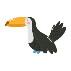 Sticker - cute animals toucan bird cartoon isolated icon design white background