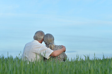 Wall Mural - Back view. Portrait of happy elderly couple resting