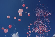 Pink Balloons In The Blue Sky