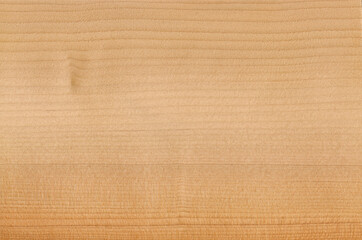 Wall Mural - Lebanese Cedar, exotic natural wood from Europe, Asia.