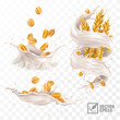 3d realistic vector splash of milk or yogurt with wheat grains and ears