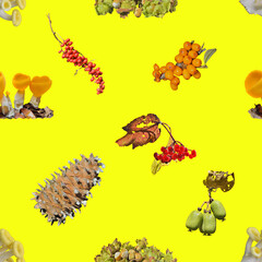 Wall Mural - Edible berries, nuts and mushrooms. Seamless pattern.