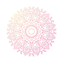 Decorative Floral Pink Mandala Ethnicity Artistic Icon