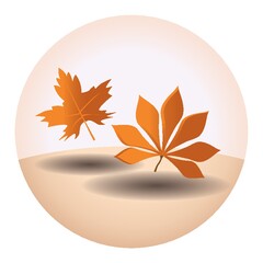 Wall Mural - autumn leaves