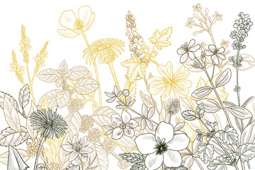 vector drawing floral vintage template