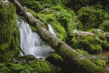 Water Flowing Down The Moss Covered Rocks And Logs At The Spring Of Kamniska Bistrica River In Slovenia