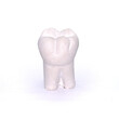 © reuerendo - Plaster model of tooth