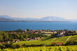 © Marc - Rolle et Perroy vu des vignes de Mont-sur-Rolle