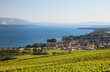 © Marc - Rolle et le lac Léman vu de Mont-sur-Rolle