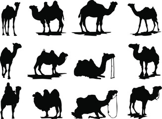 Wall Mural - Set of Simple Vector Design of a Camel in Black