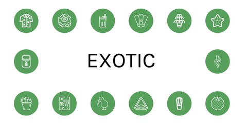 Canvas Print - Set of exotic icons