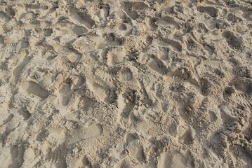 Poster - View of sand on the beach