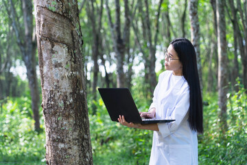 Female botanists in white coat with laptop at the forest.Young beautiful asian scientist woman looking at the bark of the rubber tree and note for researches rubber latex development.working outdoor.