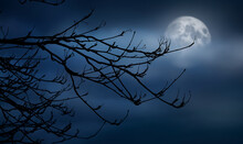 The Silhouette Of A Spooky Bare Branch Halloween Tree Against A Winter Blue Night Sky With A Glowing Full Moon Behind The Clouds