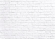 White brick wall vector image