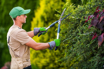 Wall Mural - Seasonal Garden Plants Trimming by Caucasian Gardener